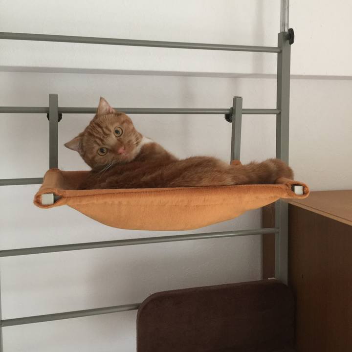 3dfe118d 8581 40a7 a6f8 25a46b25e50c 1529536786541