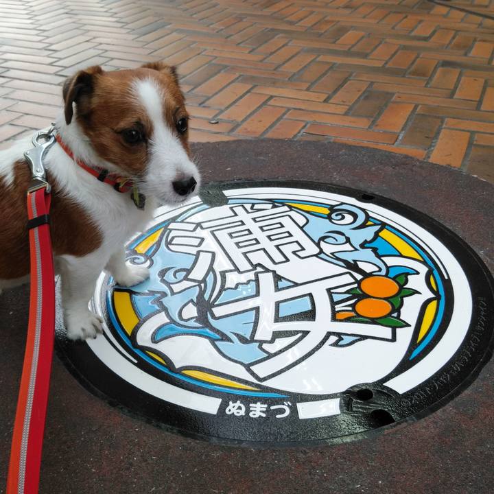 3dfe1f76 d769 4ceb 8efa ef197f1dc16a 1541416590126