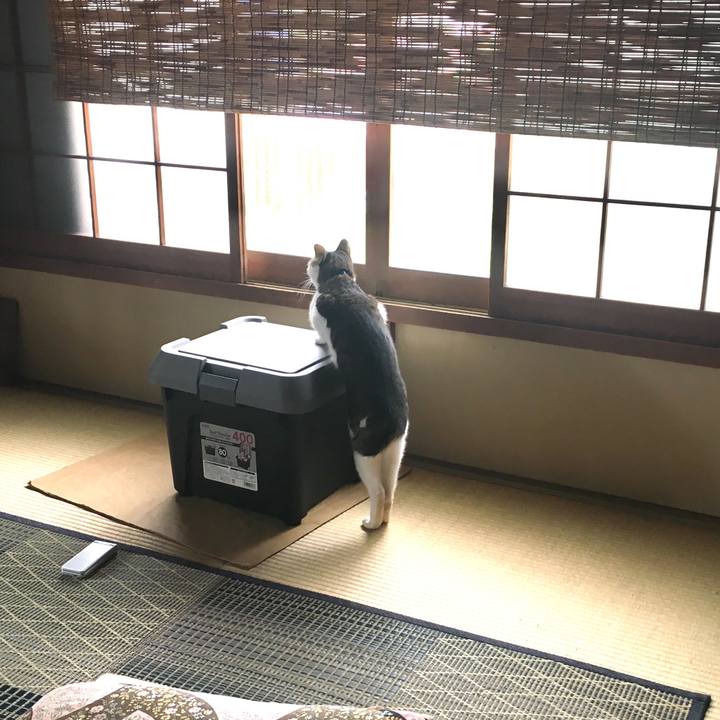 3dfe2336 8226 4d88 8b2a 76bca214b94c 1537752368546