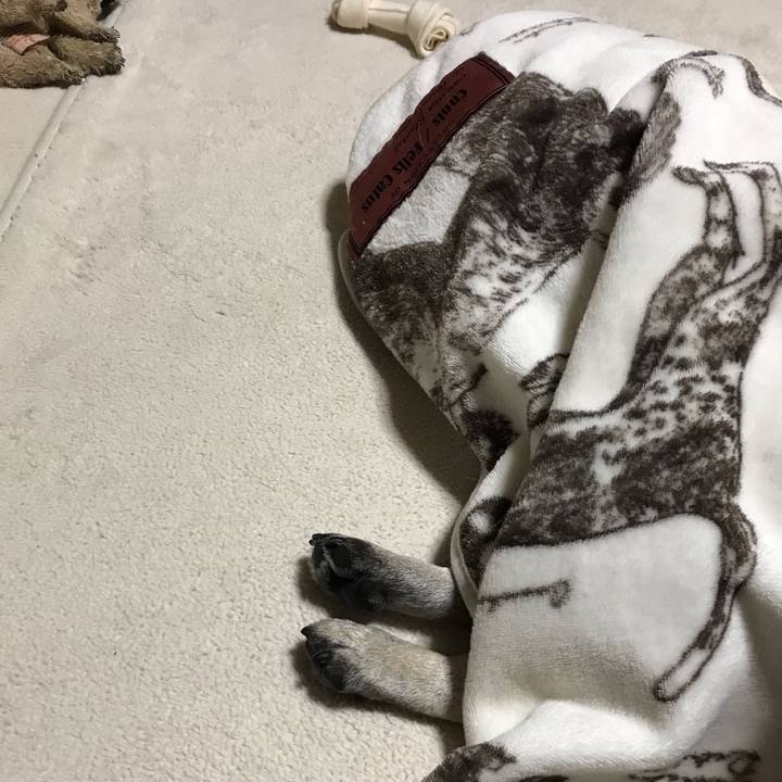 3dfe2519 f98e 4dfd 89b4 dd8bdc9987bc 1590148482255