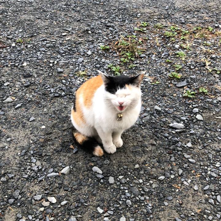 3dfe254a 90d4 49e4 b8f0 5eae3a85c131 1606345409518