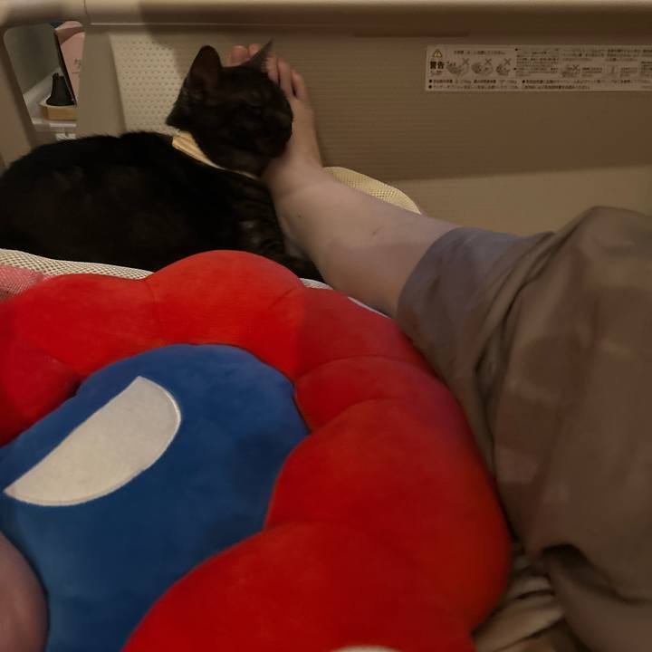 3dfe5481 693c 4f8f bde4 b14cbfda560f 1761829526931