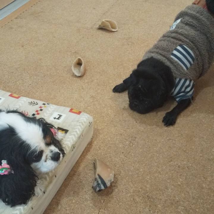 3dfe9830 8dc9 4331 b7c8 a7b6f5ee860c 1575608238070