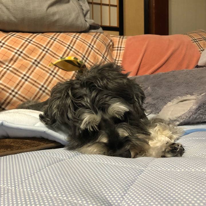 3dfea600 2cdf 4955 a76c 7b213f7dce91 1628082839971