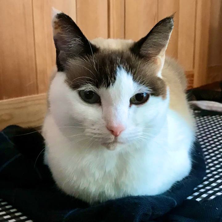 3dfed6a6 9eb3 434e a804 cdf89401f5c9 1578187112304