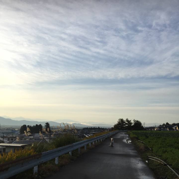 3dfee67c 20d3 4d47 a2e9 cc47d08553e9 1542754312701