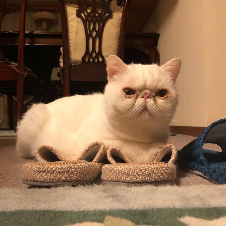 3dff2358 23d5 449a b1c2 4d17d9c10b0d 1683549829224