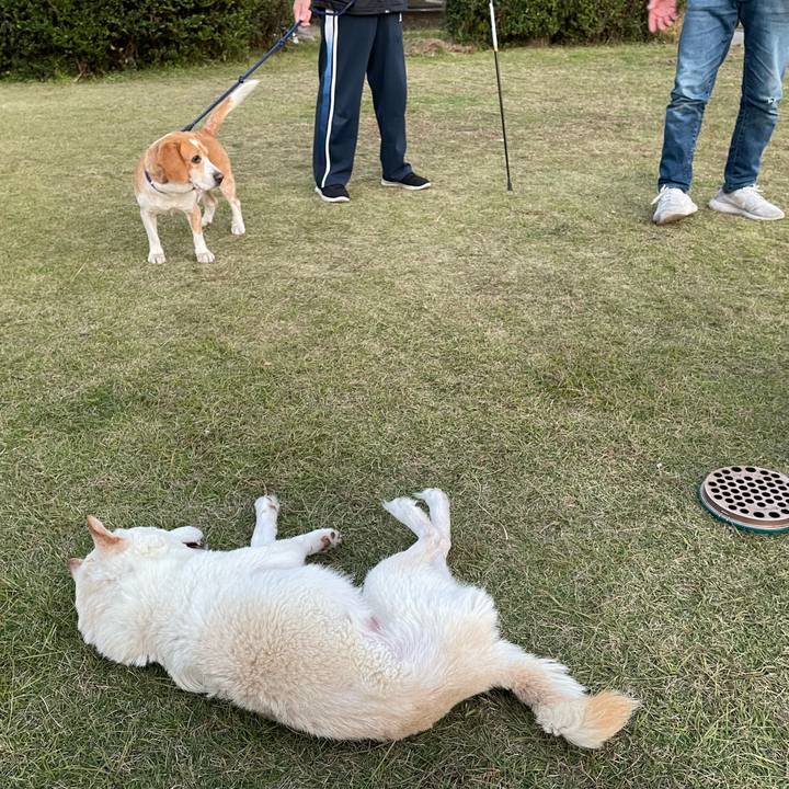 3dff24cc 6a08 427b ba45 d61713c0e240 1667981521638