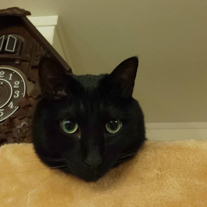 3dff835f 659d 486b a15f 22130b018eb2 1646650914272