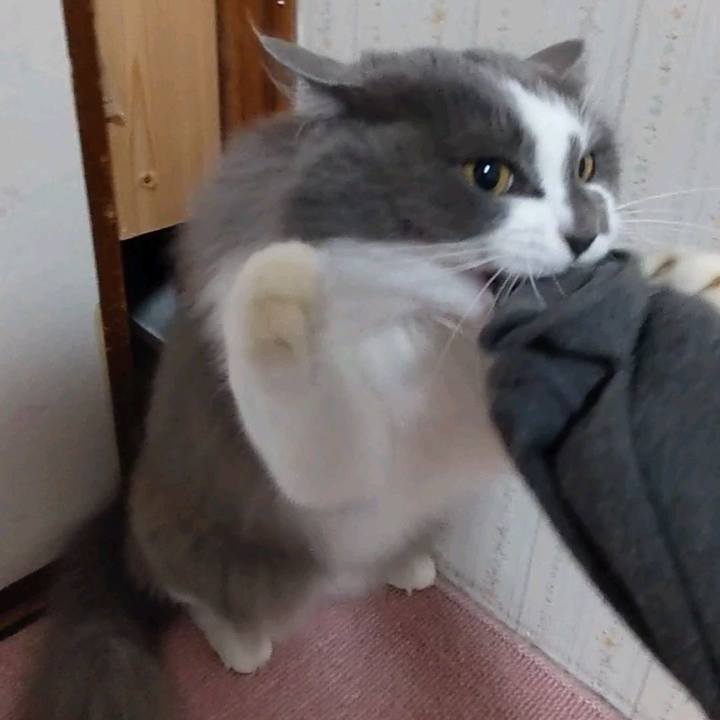 3dffc272 1a06 451b a4cd 2ef875ea5d15 1641695853232