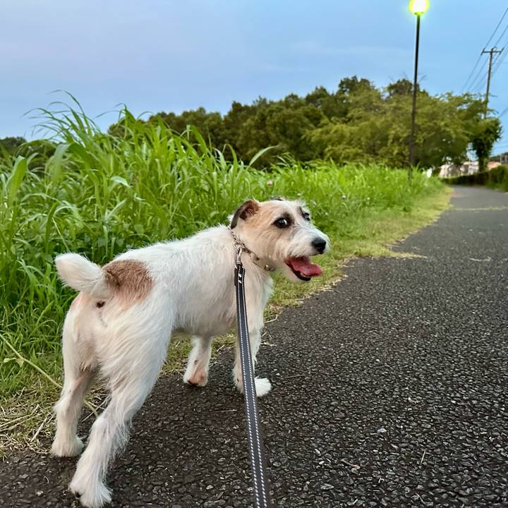 3e0011c0 36ba 4fc3 9e00 6cf580aa5869 1753358392132