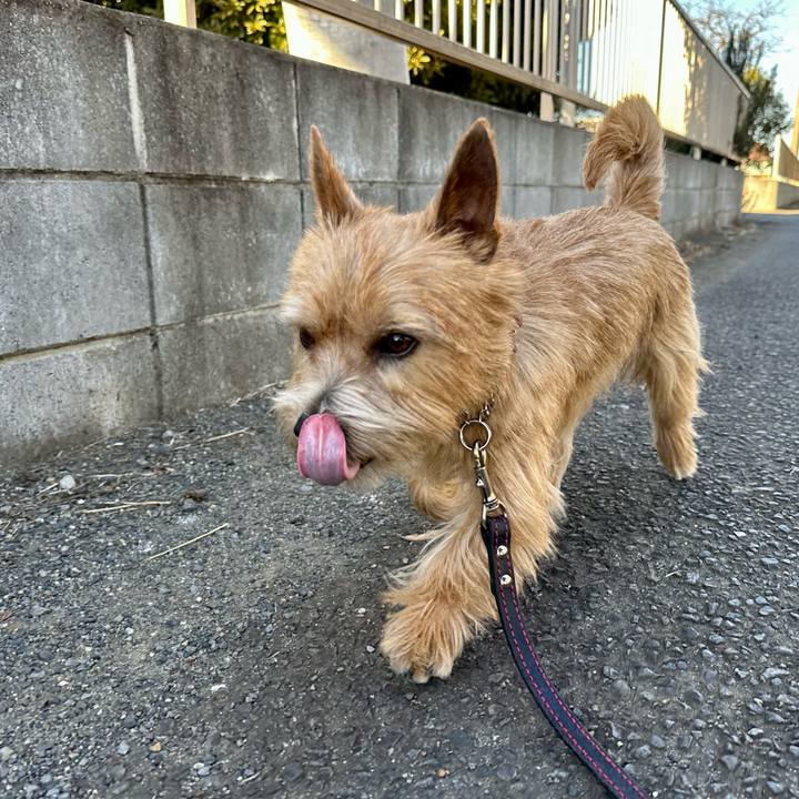 3e001fdf 0b6b 4776 91fd 381f1547de33 1739317584395