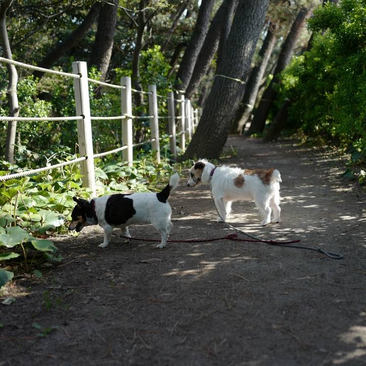 3e0027e9 d05f 41b3 a72c db0692ce265b 1524371853498