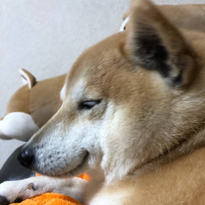 3e00448b d383 40b5 bf46 56c8ba01ac10 1551918486126