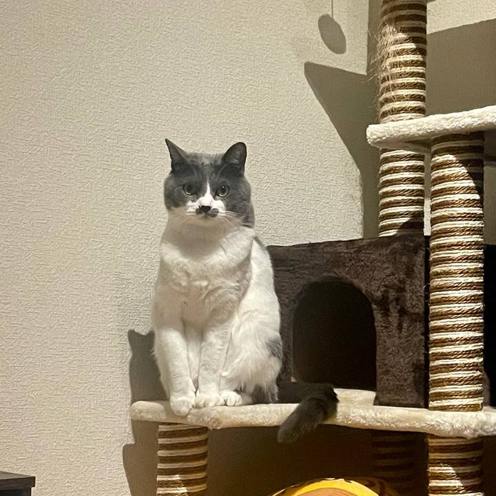 3e004975 5f5e 4e7f b6a0 a9aaedfd556e 1679407615067