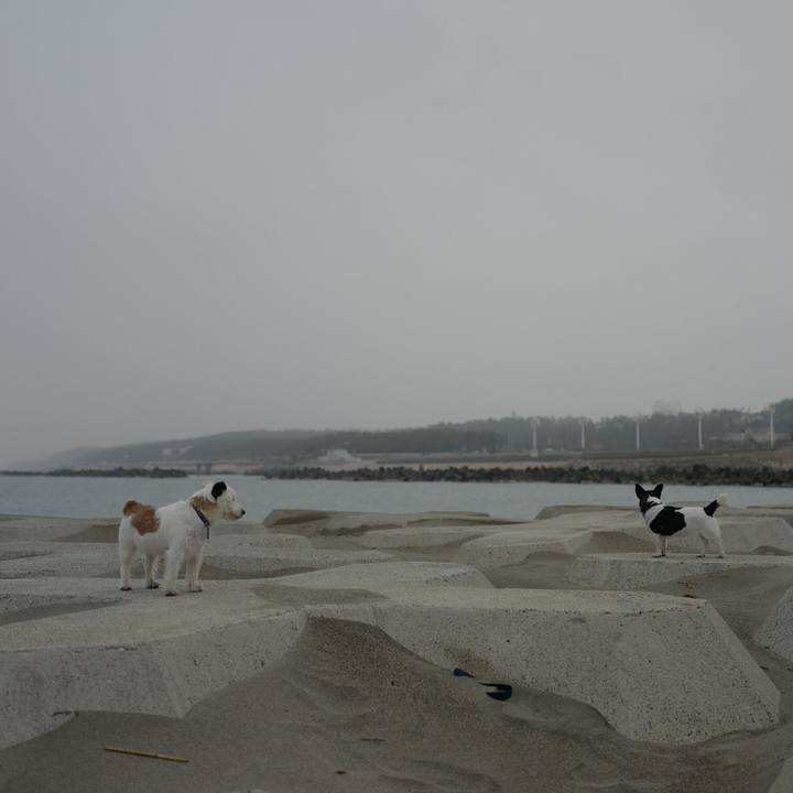 3e008dd3 436e 4149 9d64 5ece6c122abe 1522817286753