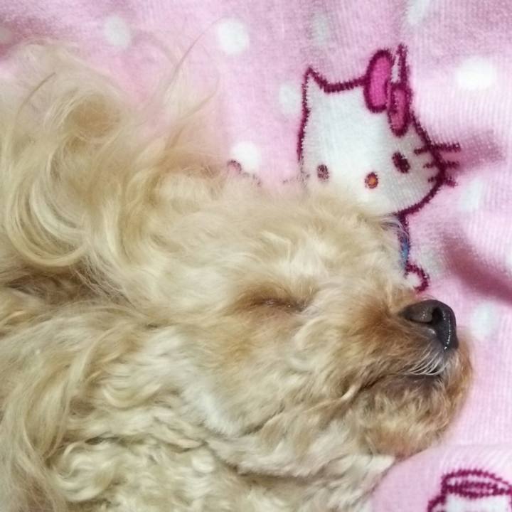 3e0098c5 4e20 4bfa a17f 754d422b8a5c 1531144549550