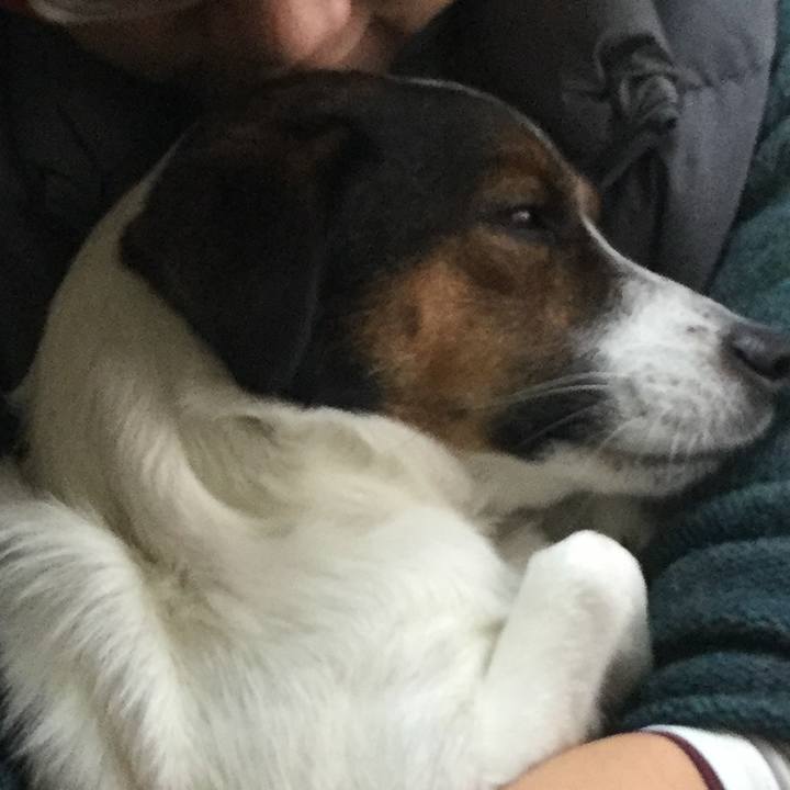 3e009fdf 159b 4dda 9c83 39ae411be162 1544326700614