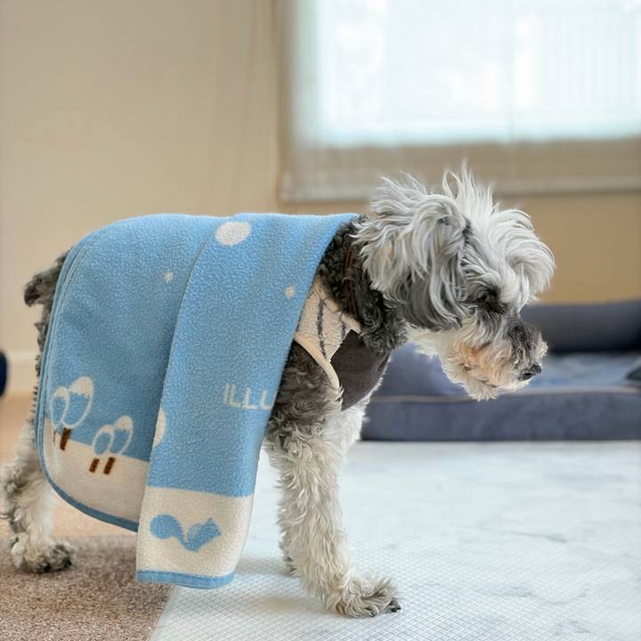 3e00f5b6 3230 4137 bd88 e5a7cb6d08ec 1765584654012