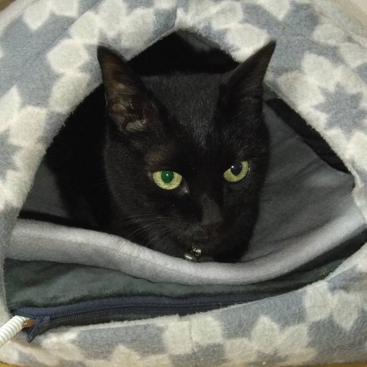 3e012298 c5e1 433b 8f0e b18bfcd713ab 1760265111695