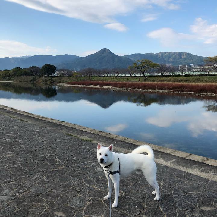 3e0167e4 79ec 411f 9a67 70e1763e972f 1575161570024