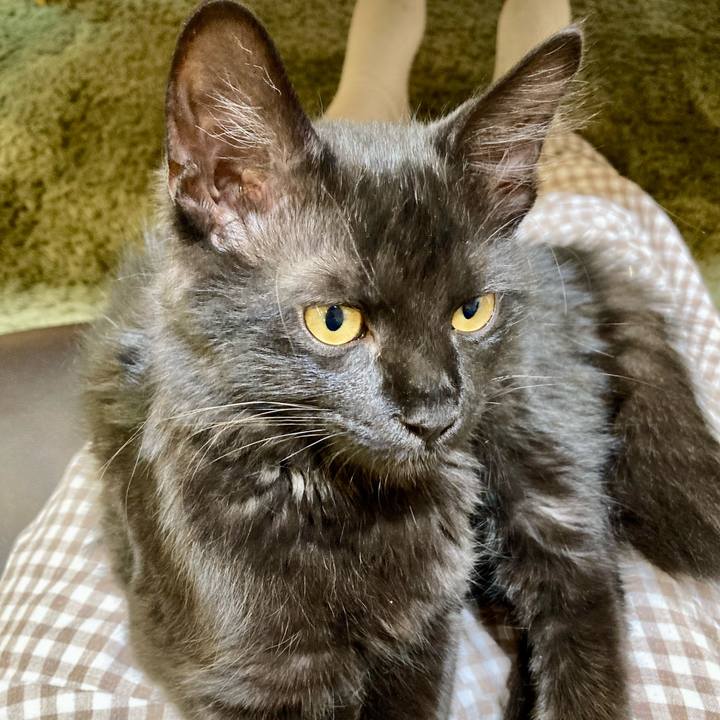 3e01a628 7ec5 43d3 ab25 47c07467af51 1704583762159