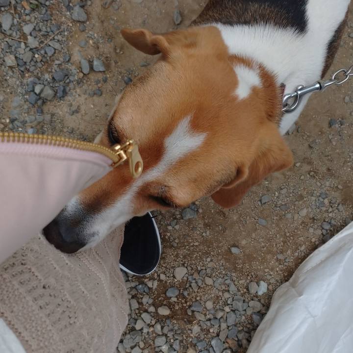 3e01bda8 d099 46cb bc71 849741eec588 1586946983004