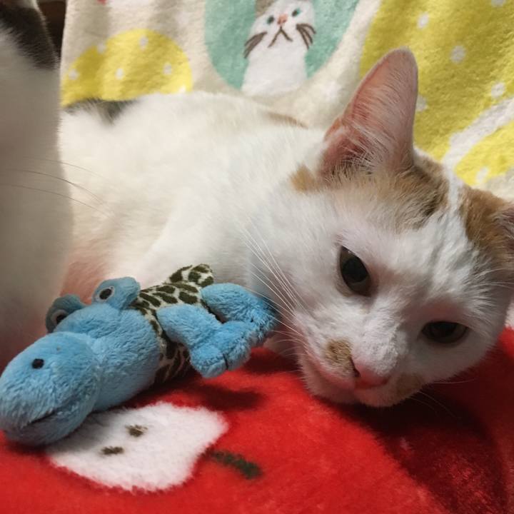 3e024753 f370 425d bf8e 0e9f1f65bc7d 1516093768351