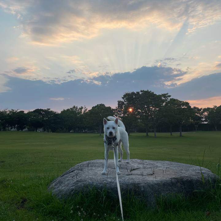 3e0256db 5511 4926 ac79 65155d5e13aa 1690577701140