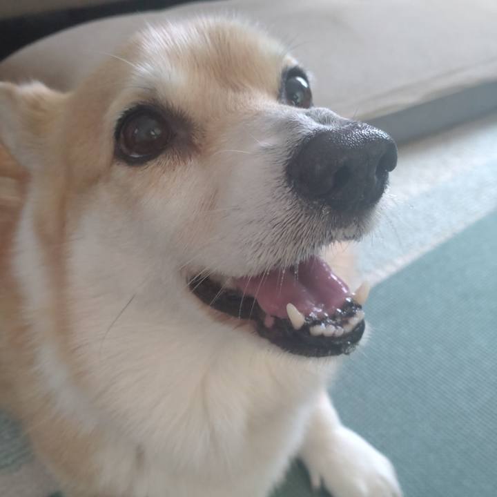 3e026db5 da51 4b17 b1e0 06f807539546 1718464467336