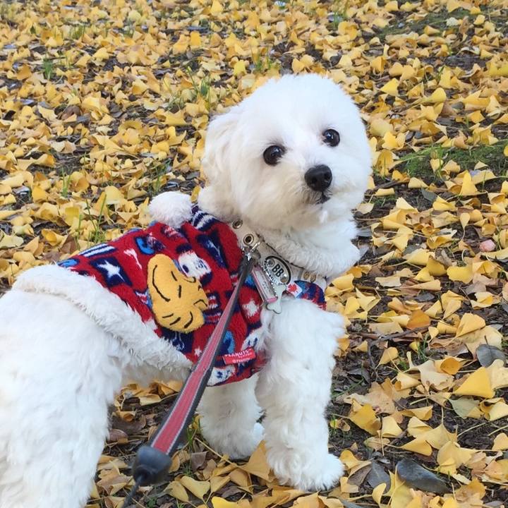 3e027237 f656 48a3 91fe 857c7a049923 1511838772295