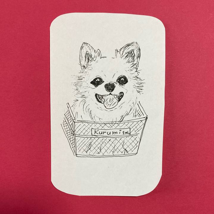 3e0285aa 73ed 487b 8833 9e3644b133c4 1618806595659