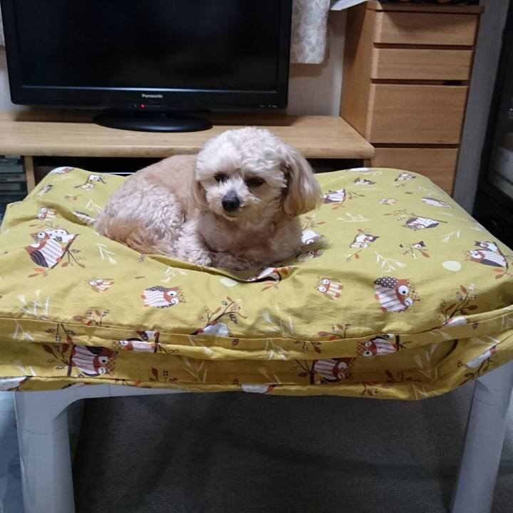 3e02a396 3697 4492 8727 f341b332545f 1526792061322