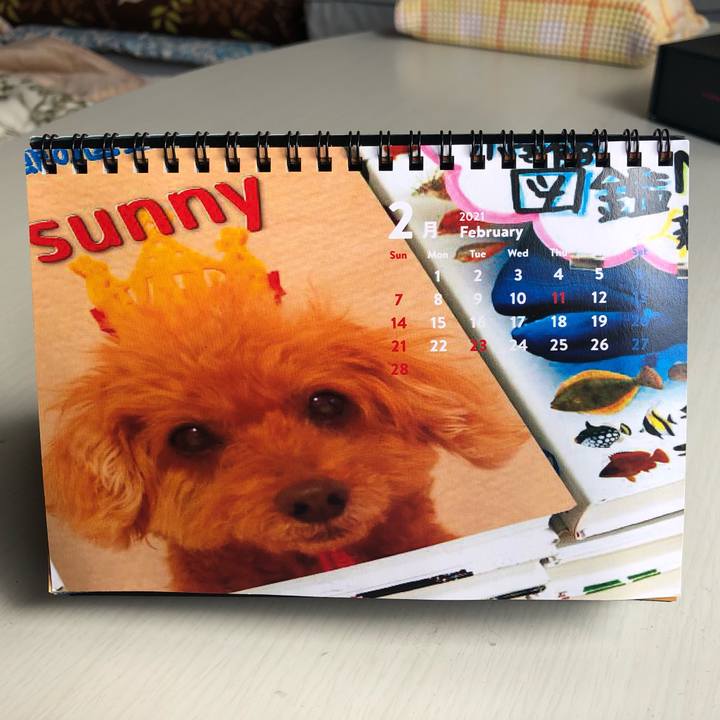 3e02d320 a590 4ad8 9ac3 5d7d414baaa5 1613014398742