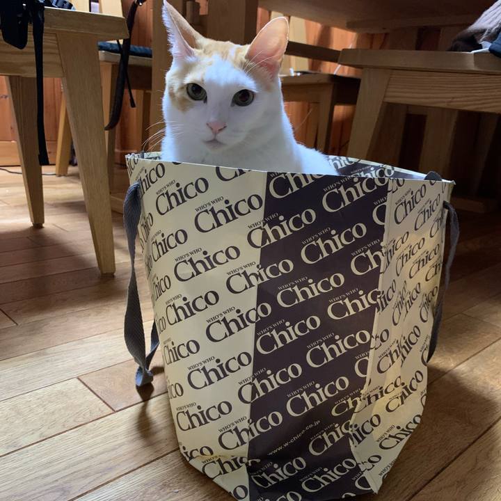 3e030f76 04d1 410c 97dd 0fb7c2a89743 1606056121427