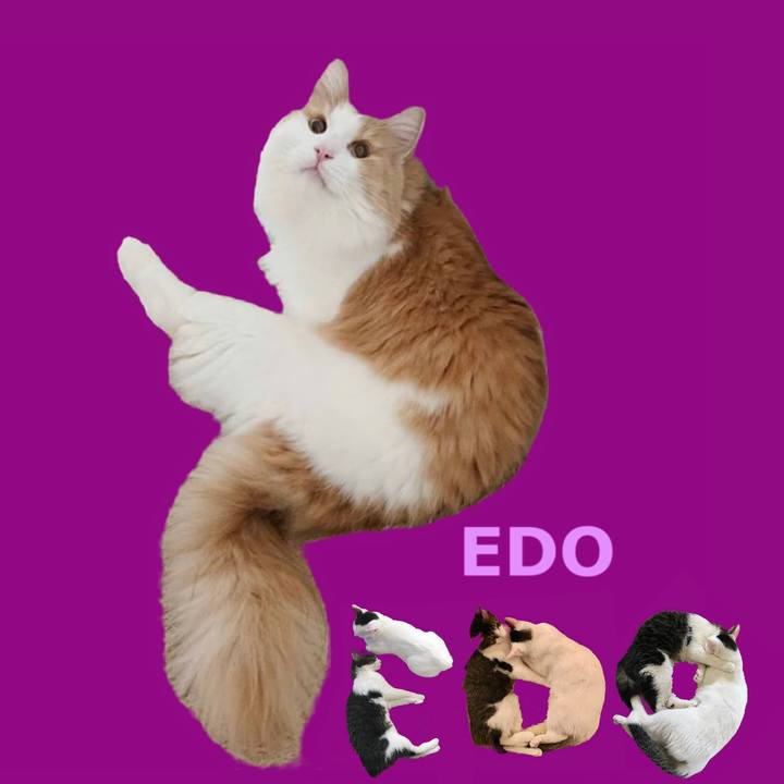 3e0314df 4e23 447b a30a dd727633a93e 1667479554659