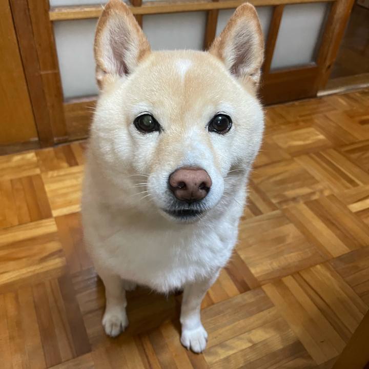 3e031967 85c4 4ef7 9b2c d7a7d7da18de 1749590840254