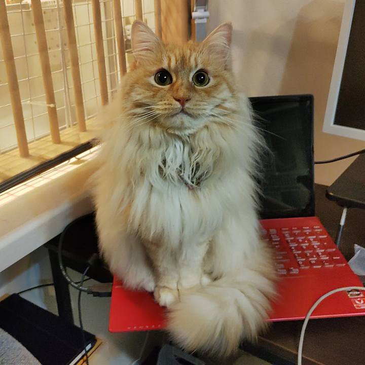 3e031a3d bdfe 4ee2 8ec2 f349ea6a3ff0 1713789220138