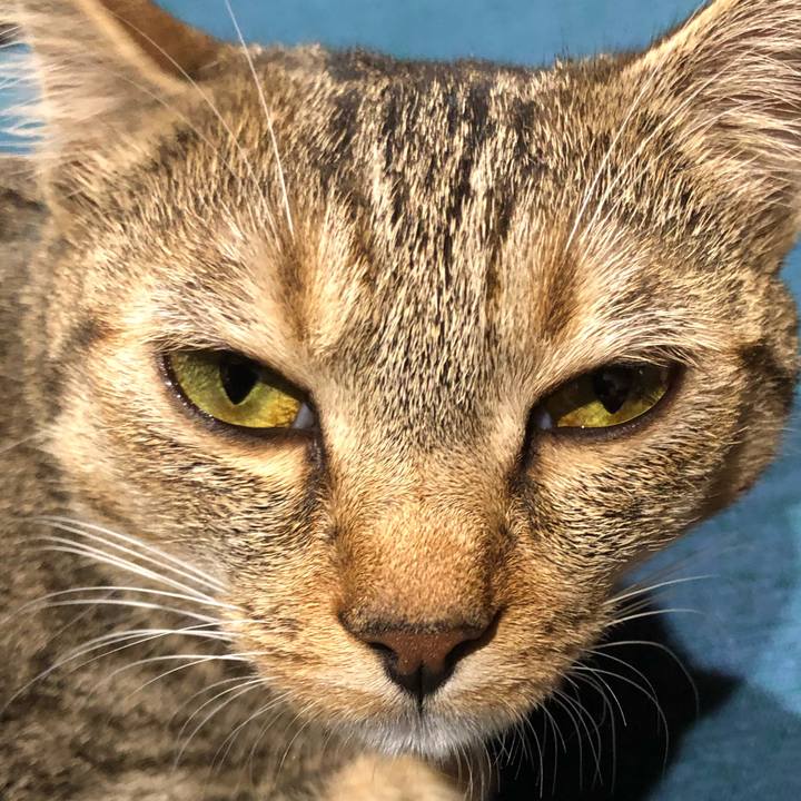 3e0326d9 eb6c 4b1e aafb d8d61bcc146d 1596285923317