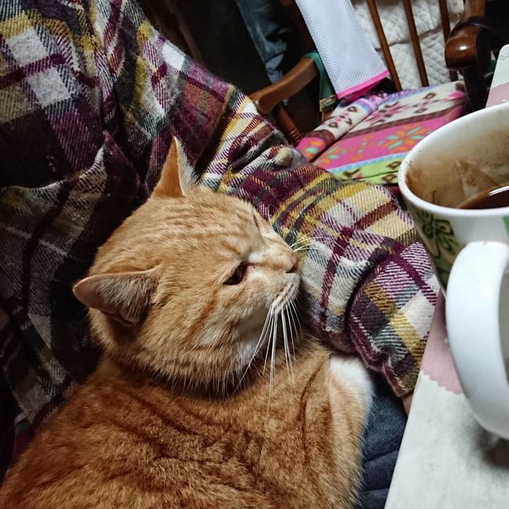 3e03692c 11fe 4857 ab34 cd4248b9528e 1578343964666