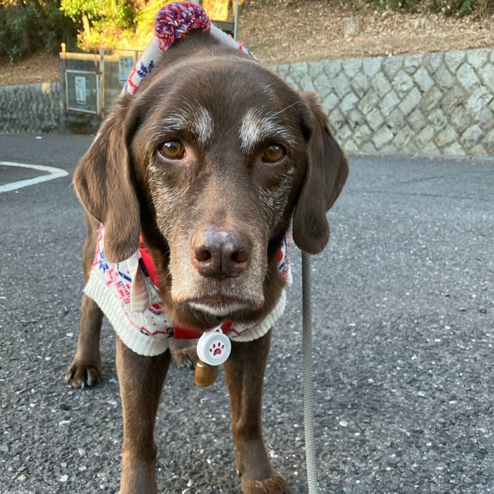 3e037316 9908 451b 9df5 0f104dd1fc8c 1767752332397