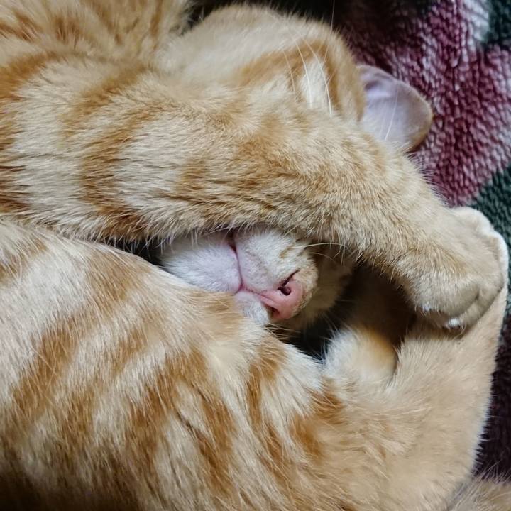 3e037bb6 4701 44c3 8abe f7262c317a76 1646225329657