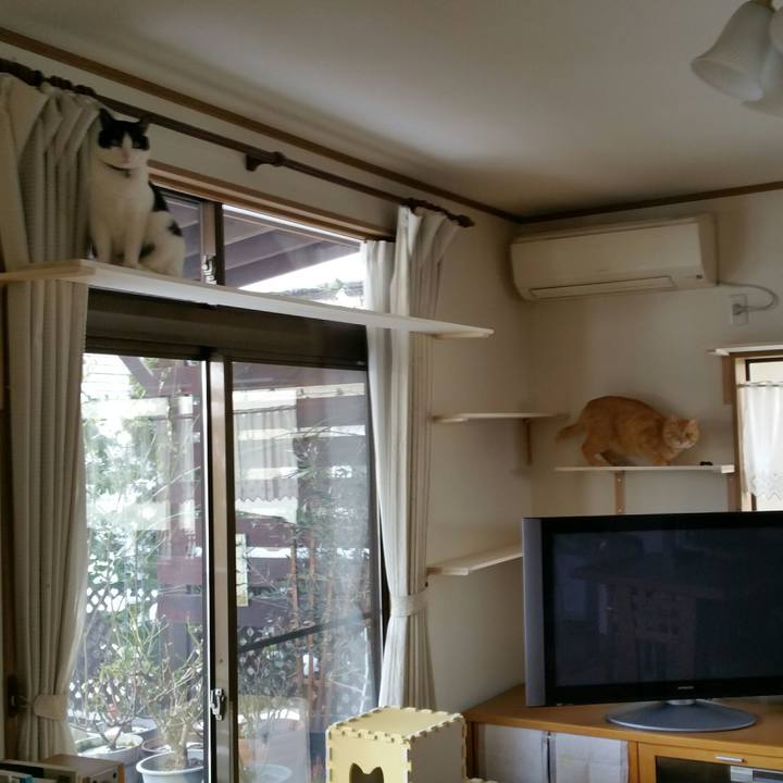 3e03a81e 1fa1 4e31 ae7c a6ced6f62fdc 1517118073581