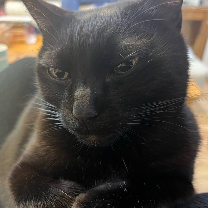 3e03f522 c857 4e9a b388 81702f7cc45b 1709251975467