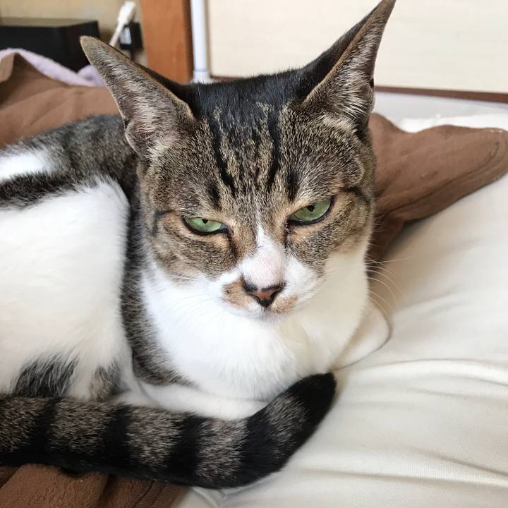 3e0405b9 dbca 4da5 a14a 236765aa062a 1515460818189