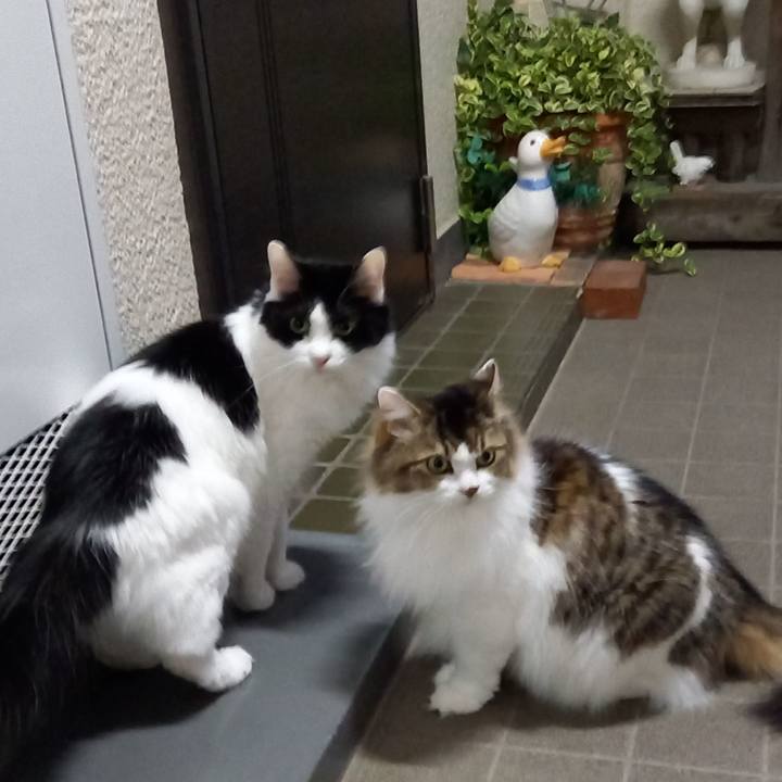 3e0439e5 72d6 4e90 bcd0 6a512f445f67 1633528017447