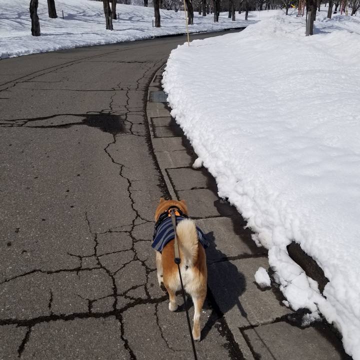 3e04ae30 3a1e 4977 a9eb 203c7a1e5b91 1710044883853