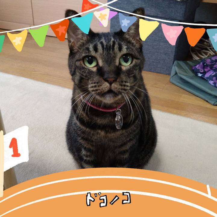 3e04b8ba b20d 46dd 90b6 846d357b79b6 1761143578493