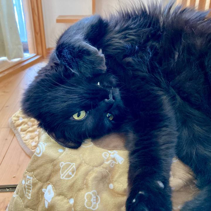 3e04fbd5 5bbf 4e2f a36e 6702eee46289 1768972609621