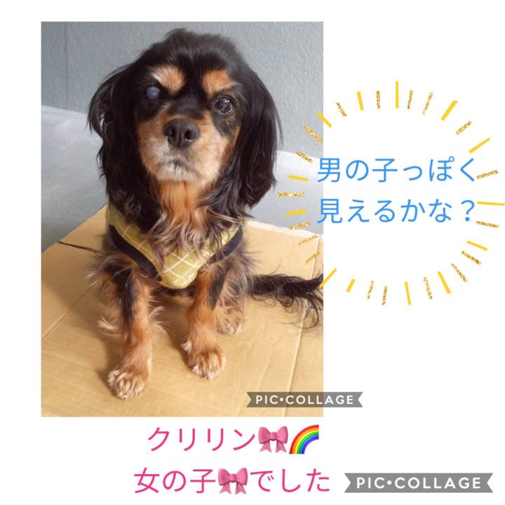 3e04ff37 6534 4e98 bb57 81f50bd34904 1611195360399